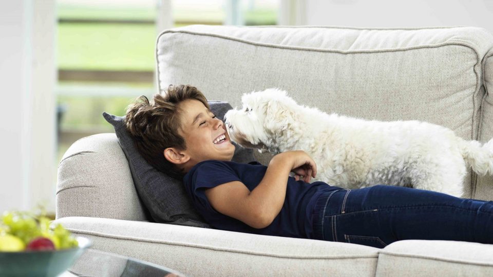 A boy laughing together with his dog