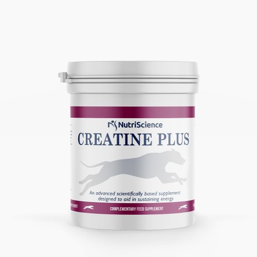 Creatine Plus Greyhound Supplement