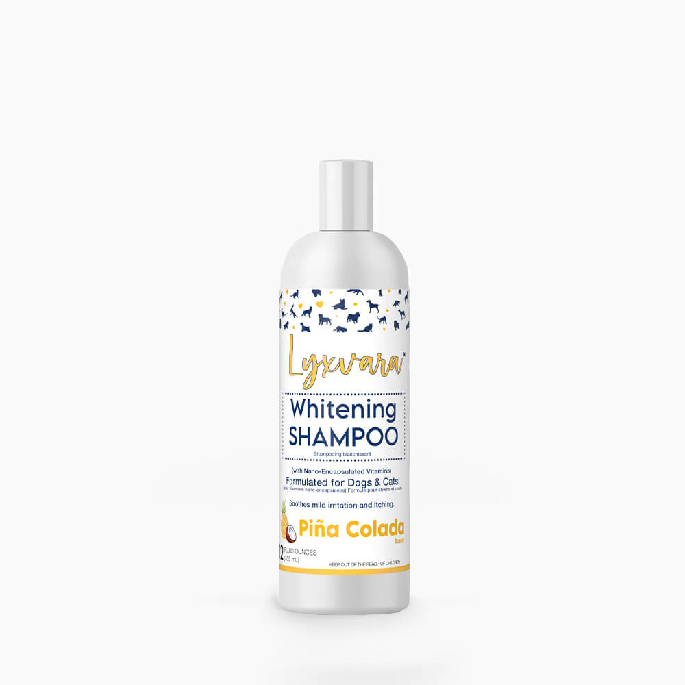 offer Alle sammen operatør Lyxvara™ Bright Whitening Shampoo - Swedencare United States