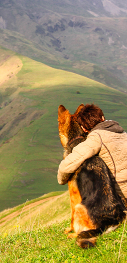 A man hugging his dog on with a view of the mountains