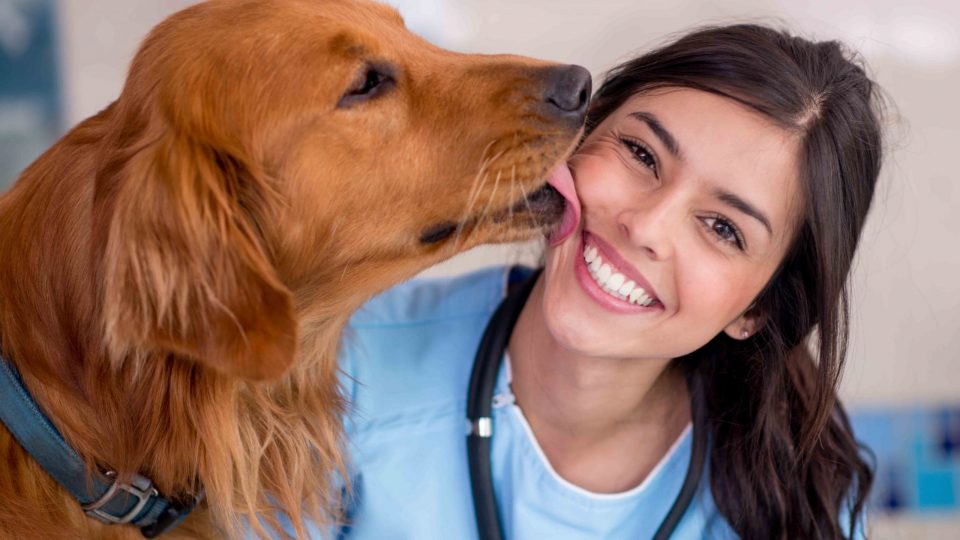 A veterinarian sitting next to a dog who is giving her a lick on her cheek