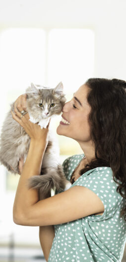 Hidden Dangers of Untreated Plaque and Dental Disease in Cats