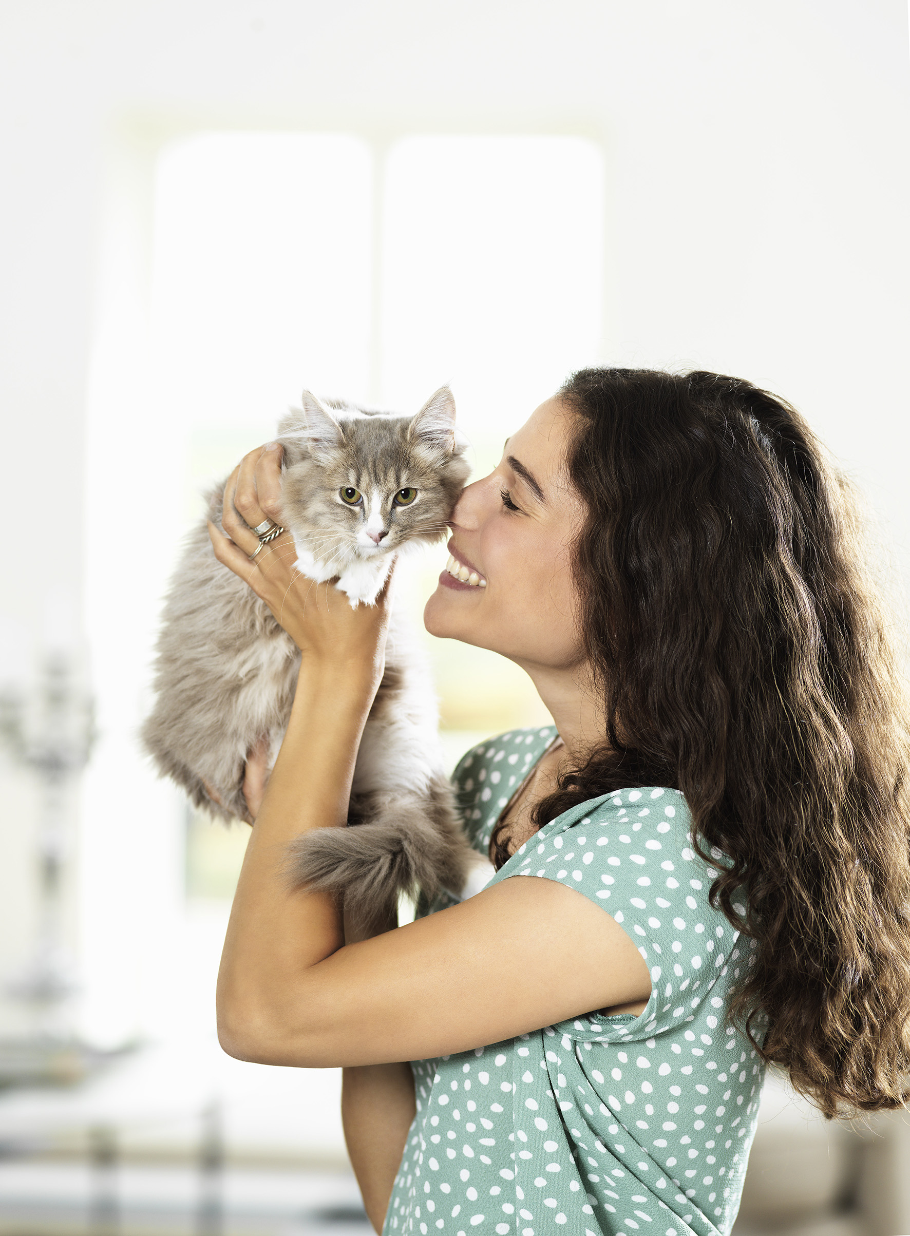 Hidden Dangers of Untreated Plaque and Dental Disease in Cats
