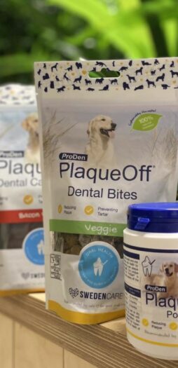 Choosing the Right ProDen PlaqueOff® Product for Your Pet