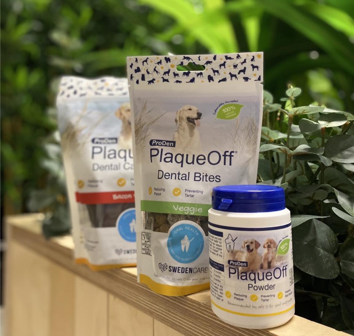 Choosing the Right ProDen PlaqueOff® Product for Your Pet